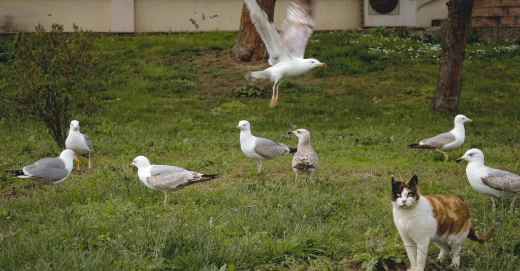 découvrez des conseils pratiques pour assurer une coexistence harmonieuse entre vos chats et leur environnement, favorisant la paix et le bien-être de vos animaux.