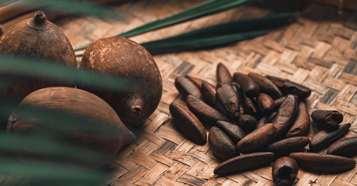 découvrez les bienfaits du beurre de murumuru, un ingrédient naturel hydratant et nourrissant, idéal pour protéger et revitaliser votre peau et vos cheveux.