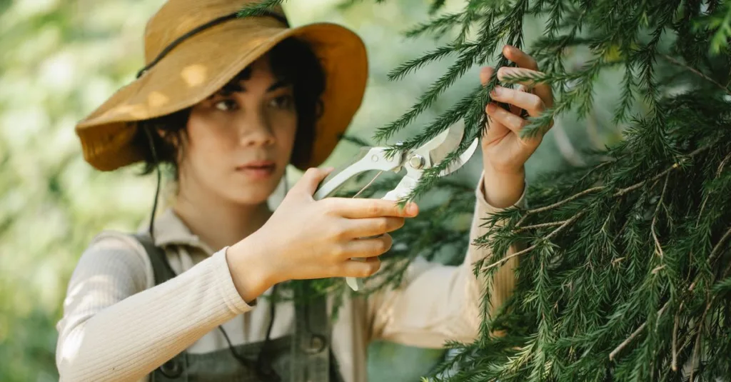 découvrez les meilleures techniques de taille pour entretenir vos plantes et arbres, favoriser leur croissance et améliorer leur santé.