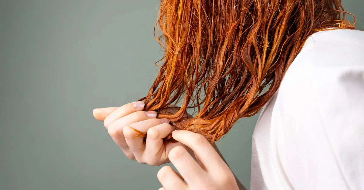 découvrez notre shampooing solide écologique et pratique, formulé pour nettoyer en douceur vos cheveux tout en respectant l'environnement.