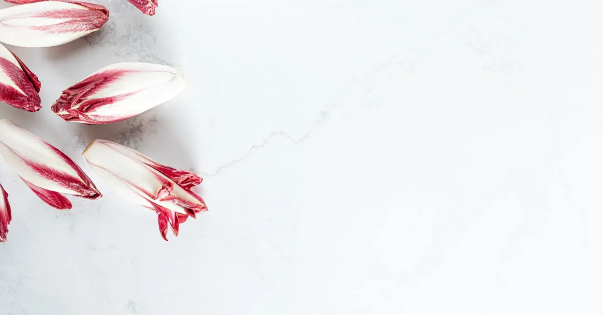 découvrez les effets secondaires potentiels de la chicorée, une plante couramment utilisée en cuisine et pour ses bienfaits médicinaux, et comment les éviter.